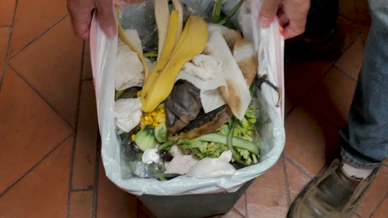 Best Electronics and E-Waste Disposal  in Washington Terrace, UT